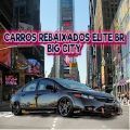 大城市低层汽车(CARROS REBAIXADOS ELITE BR BIG CITY)