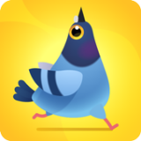 鸽子捕食手游下载-鸽子捕食手游手机正式版v1.0.0