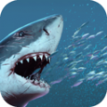 饥饿变种鲨下载-饥饿变种鲨手游正版v1.1