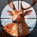 动物猎人狩猎冲突 v1.0.15安卓版