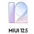 小米10S MIUI 12.5.3稳定版 v1.0