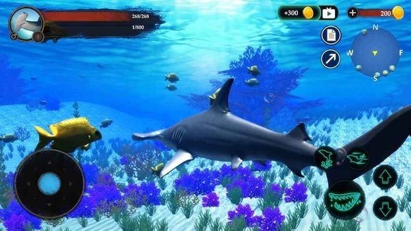锤头鲨模拟器3D版图2