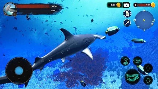 锤头鲨模拟器3D版图3