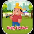 街头板球冒险(gully cricket)