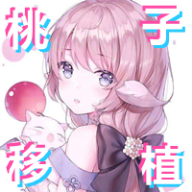 pixelbunny桃子移植中文版
