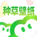 种草壁纸app下载-种草壁纸安卓最新版v1.0.0