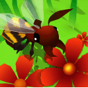 蜜蜂进化3D