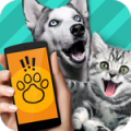 动物语言翻译器app下载-动物语言翻译器软件官方版下载
