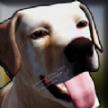狗收容所模拟器3D安卓版下载-狗收容所模拟器3D手游最新版v6.0
