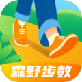 森野步数app下载-森野步数最新版-森野步数官网版v2.0.1