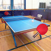 Table Tennis Touch手游下载-Table Tennis Touch手游官网版v2.2.2401.1安卓版