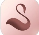 大悦腹直肌app下载-大悦腹直肌官方版-大悦腹直肌最新版v2.0.0.0