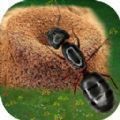 蚂蚁打不过手游下载-蚂蚁打不过手游安卓版v1.0.0