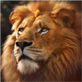 野兽领主新世界游戏下载-野兽领主新世界最新官方版v1.0.1